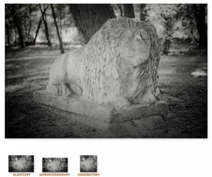 Lew z żorskiego parku [Obrazy / Żory]